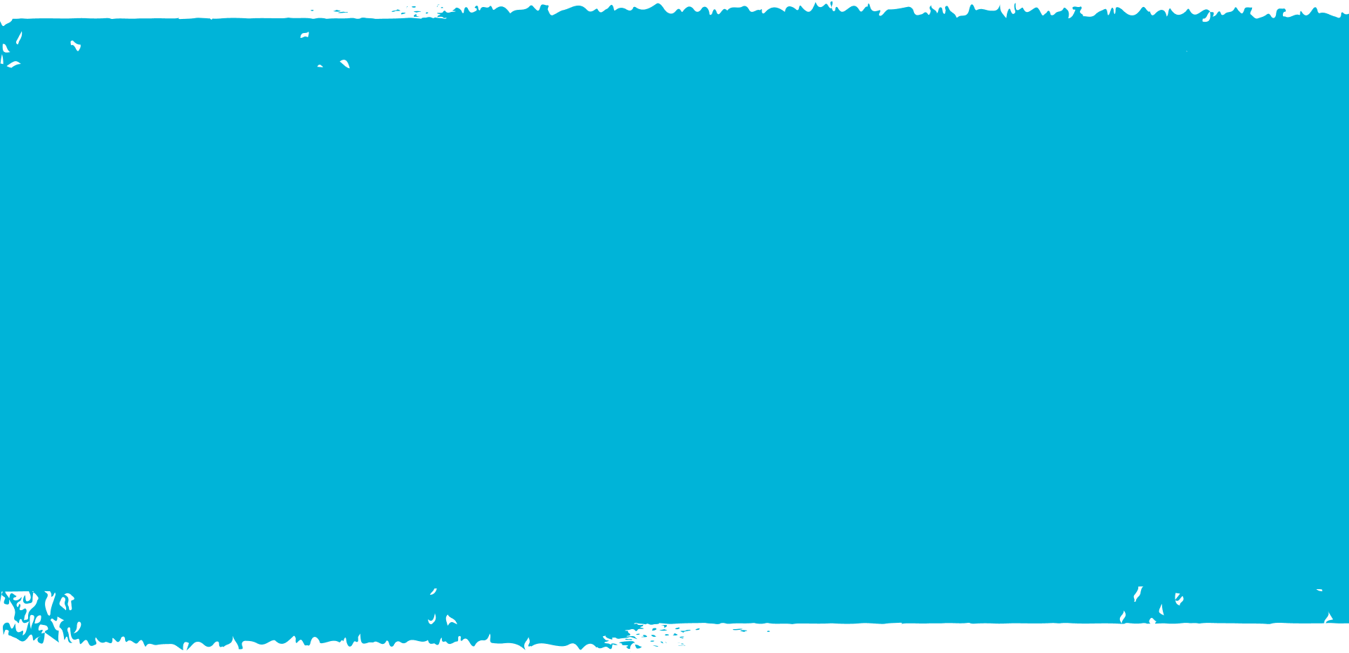 jak działa Linguist Travel?